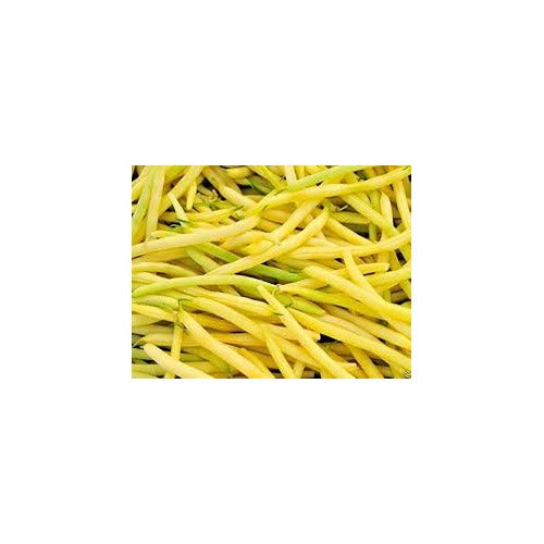 Yellow Bean Seeds for Planting [neera-v5-d566f44e91aadcbc5085]