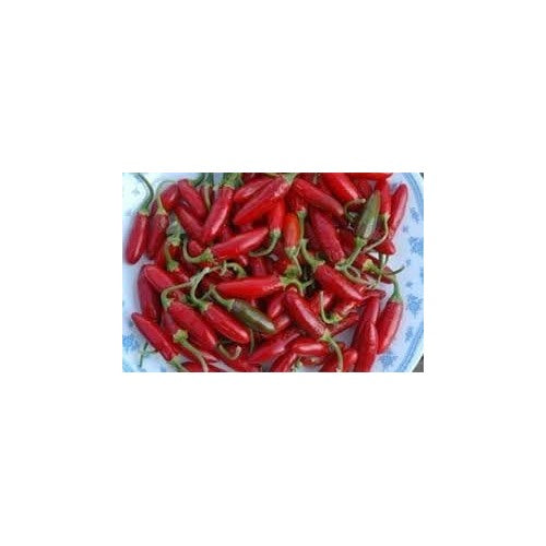 Apache Chili Pepper Seeds for Planting [neera-v5-d62468df0eb23b846a2a]