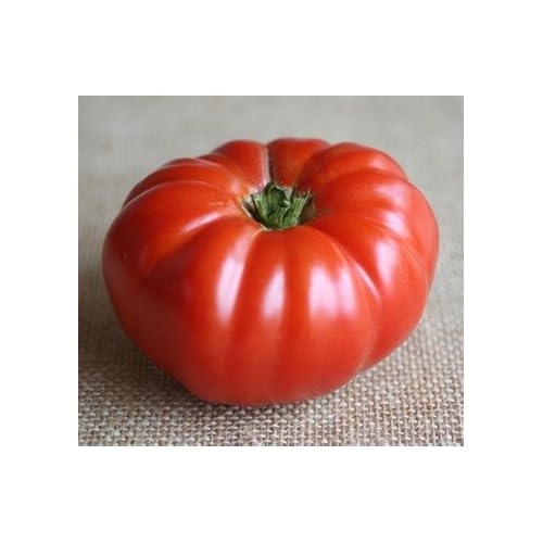 Red Tomato Seeds for Planting [neera-v5-d648161c227f9fad6fdc]