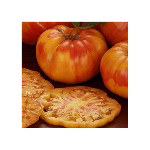 Light Orange Big Tomato Seeds for Planting [neera-v5-d660b91776d8a726c500]