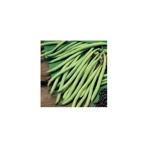 Stringless Bean Vegetable Seeds for Planting [neera-v5-d748cb2746206ad60ac2]