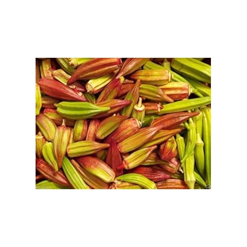 Red & Green Okra Seeds for Planting [neera-v5-d7a0e2a419d81ac65754]