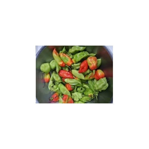 Trinidad Pimento Pepper Seeds for Planting [neera-v5-d7f3e675f23a900b0300]
