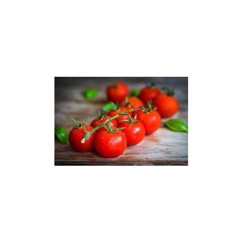 Tomato Vegetable Seeds for Planting [neera-v5-d84cc22efb703a5f6e73]