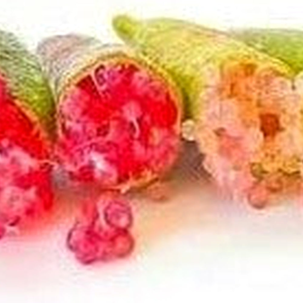 Red Sorbus Sibirica Fruit Seeds for Planting | Heirloom Non-GMO Organic Seeds for Hardy, Beautiful Fruits [neera-v5-d8c3144da19ca03fb47b]