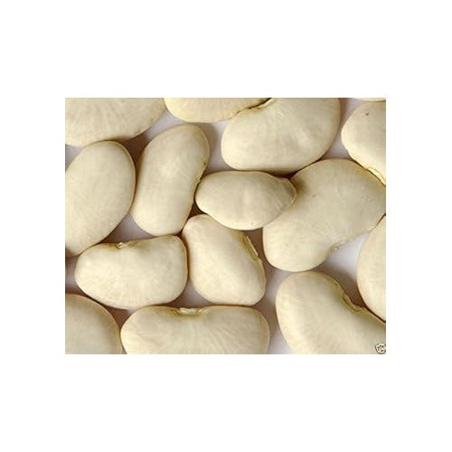 White Bush Bean Vegetable Seeds for Planting [neera-v5-d967080ea883289a5bbd]