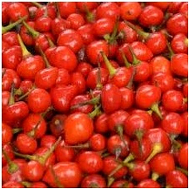 Wiri Wiri Vegetable Seeds for Planting [neera-v5-d97e52656e9095469807]