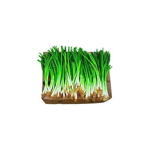 Heirloom Green Fistulosum Spring Onion Seeds for Planting [neera-v5-dabf3f6add82879d5ec4]