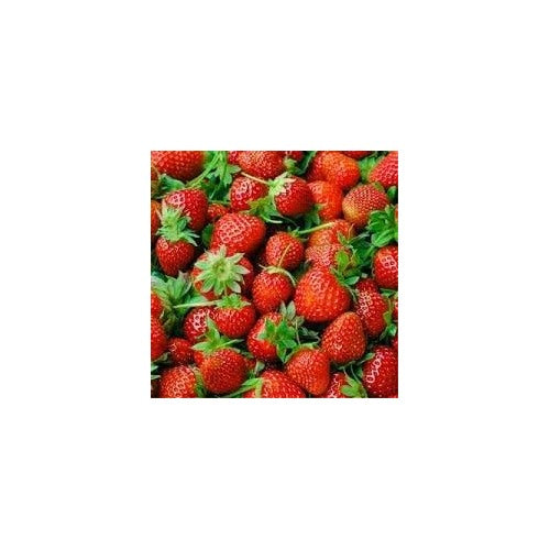 Large Strawberry Fruit Seeds for Planting [neera-v5-db182f3ccc7bd0f069e6]