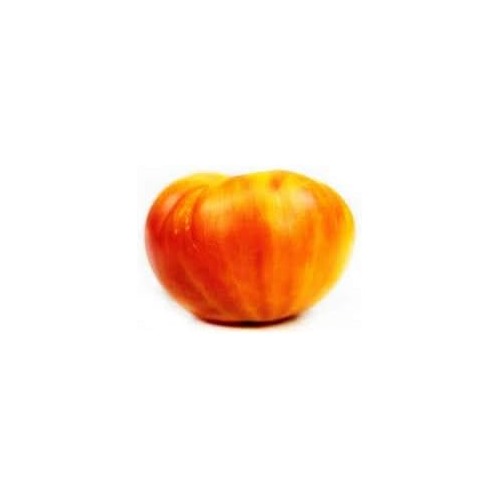 Yellow and Orange Big Tomato Seeds for Planting [neera-v5-db327a8a84adf8d4d74e]