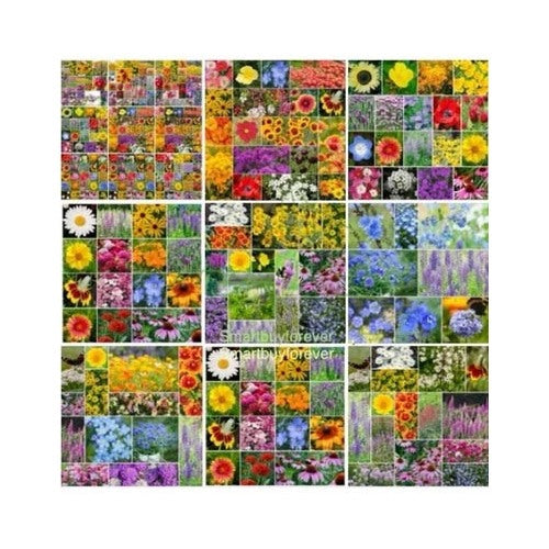 Annualperennial Wildflower Mix Planting Bulk Non Gmo Beautiful Flowers Usa Heirloom Flower [neera-v5-db6e5365d90fd4749156]