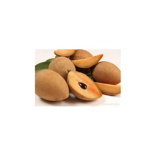 Sapodilla Fruit Seeds for Planting [neera-v5-db8e5b39693ae0de65a1]
