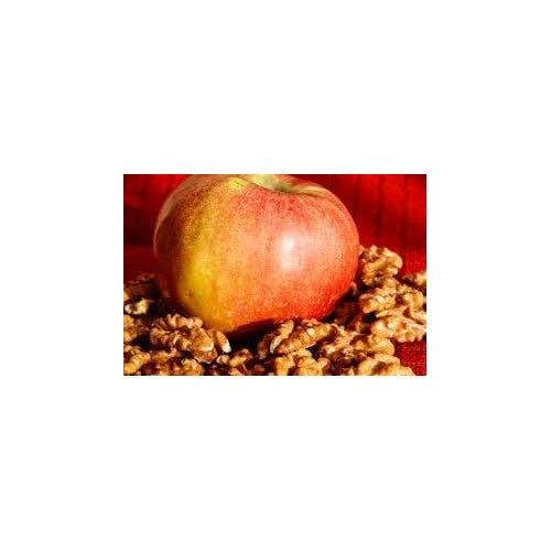 Red Yellow Apple Fruit Seeds for Planting [neera-v5-dbe4eb730f4896fd49e3]