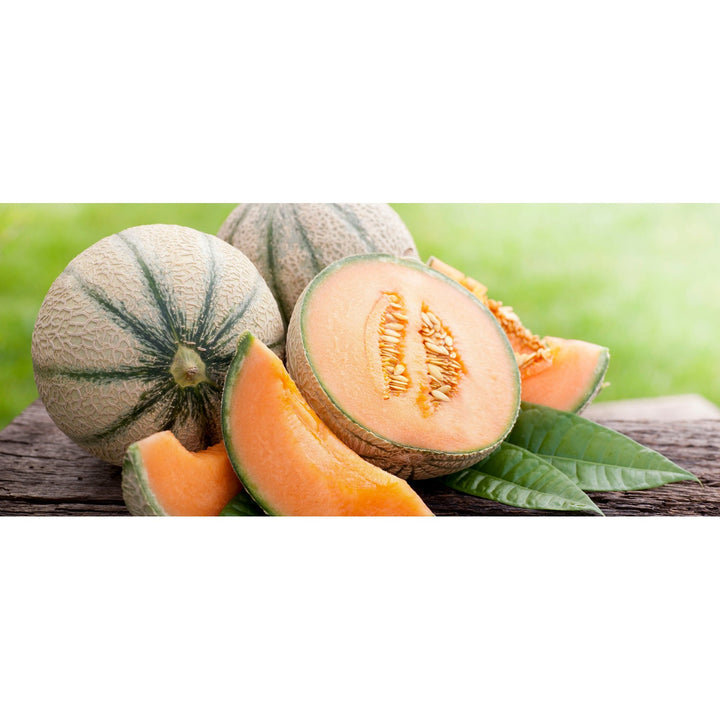European Cantaloupe Melon Fruit Seeds for Planting [neera-v5-dc1836997407d3728c75]
