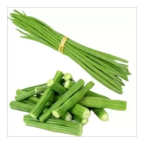 Drumstick (Moringa oleifera) Seeds for Planting [neera-v5-dcc609fac97228cad7a6]