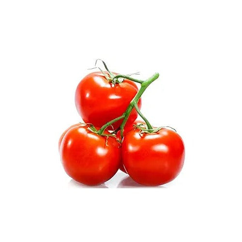 Tomato Jersey Vegetable For Planting Flower Seeds for Home Garden Planting, Ornamental Organic [neera-v5-dccece52c6e224843bc5]