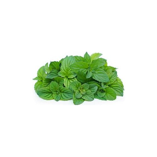 Orange Mint Seeds [neera-v5-dcd772f86829aae855bb]