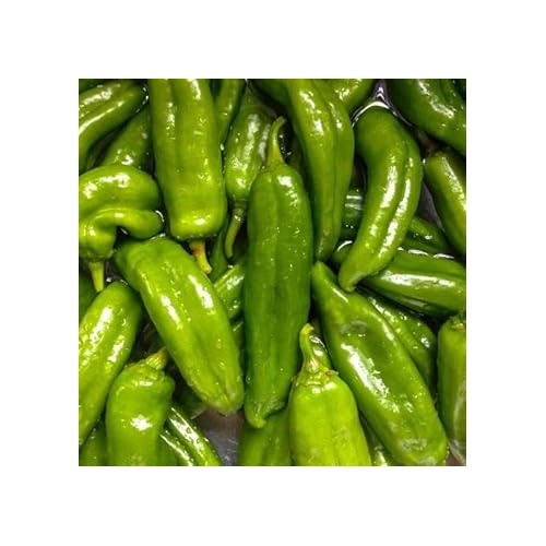 Pepper Capsicum Seeds for Planting [neera-v5-dcde06f55c3ff9a126ee]