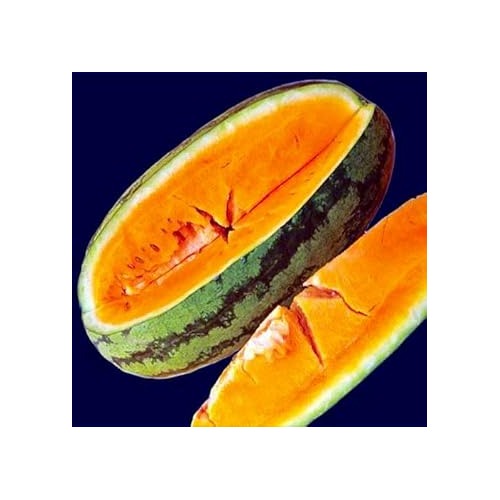Orange Watermelon Fruit Seeds for Planting [neera-v5-ddf68839ae9f8ce564b4]