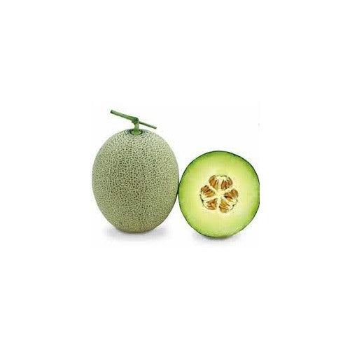 Fresh Green Cantaloupe Fruit Seeds for Planting [neera-v5-de09b590635c9d07c8c6]