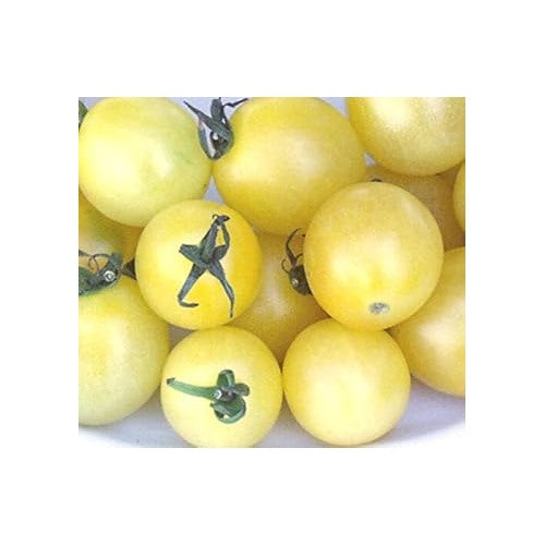 Light Yellow Tomato Seeds for Planting [neera-v5-de2fad64d9ac9fe38e5b]