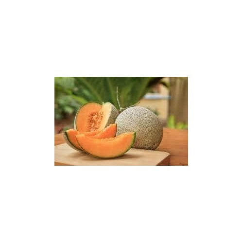 Orange Cantaloupe Melon Fruit Seeds [neera-v5-de575092681b4d907aef]