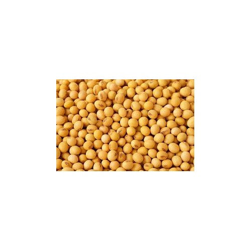 Yellow Bean Seeds for Planting [neera-v5-df375cae749c876f5929]