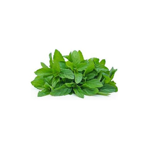 Green Mint Plant Seeds for Planting [neera-v5-df4859a2ff783d109110]
