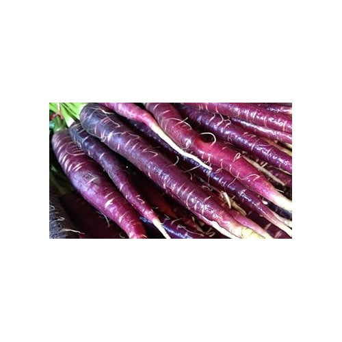 Purple Carrot Seeds for Planting [neera-v5-df7e3065c8c32d873ce7]