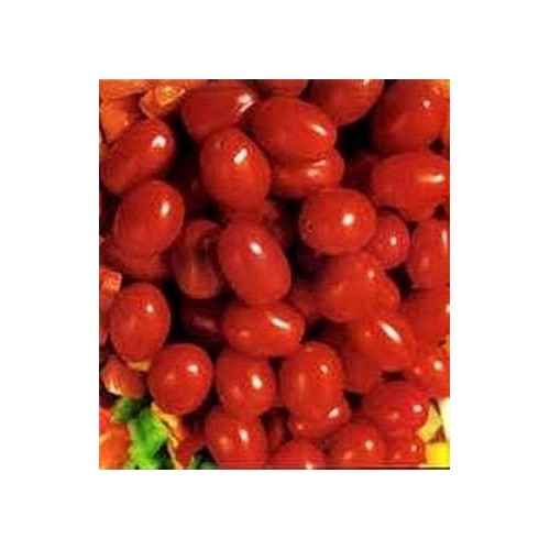Heirloom Red Tomato Seeds for Planting [neera-v5-dfd91882e39fda331637]