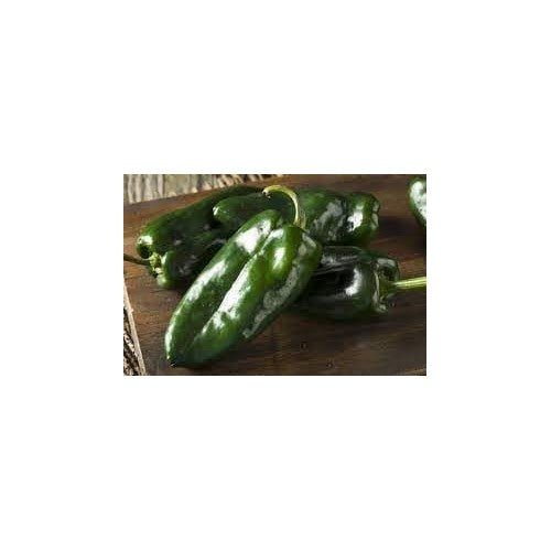 Poblano Pepper Seeds for Planting [neera-v5-e03c4fc61cf1b9783c40]
