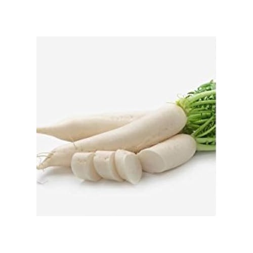 White Radish Seeds for Planting [neera-v5-e076f0055bc6bb8f10e2]