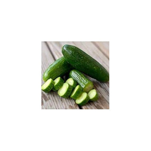Beit Alpha Cucumber Seeds for Planting | Heirloom, Non-GMO, High Germination Organic Garden Seeds [neera-v5-e0a4dc8434a2dd0a6fa1]