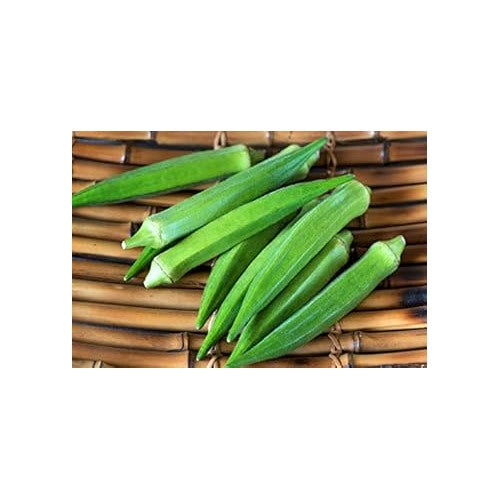 Heirloom Okra Vegetable Seeds for Planting [neera-v5-e18a62e39431d22a205b]