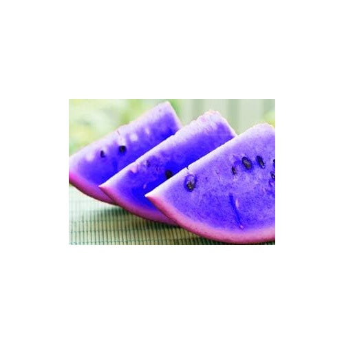 Violet Watermelon Fruit Seeds for Planting [neera-v5-e1d7529d43ebce16ad73]