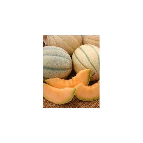 Yellow Cantaloupe Fruit Seeds for Planting [neera-v5-e1f78a134673c31869b6]