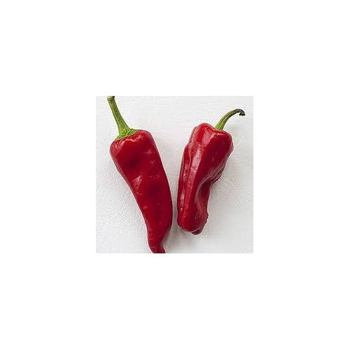 Aleppo Pepper Seeds [neera-v5-e237f4fb14b1cb5a4cc8]