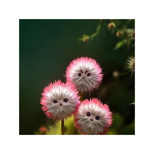 Red Cat Face Flower Seeds [neera-v5-e28ac5228ab25a5319b0]