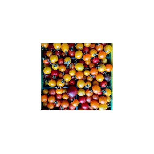 Heirloom Rainbow Cherry Tomato Seeds for Planting | Non-GMO, High Germination Organic Garden Seeds [neera-v5-e31a45b5ca3ba7e7a474]
