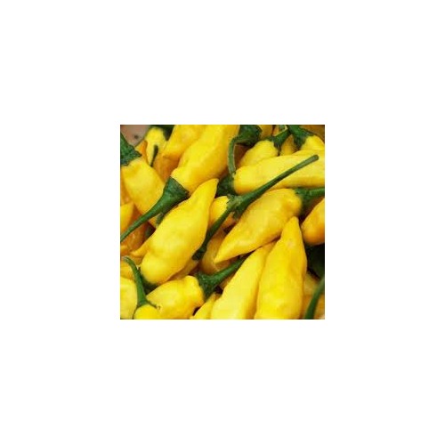 Aji Lemon Drop Pepper Seeds for Planting [neera-v5-e35a3087d746daf5d55d]
