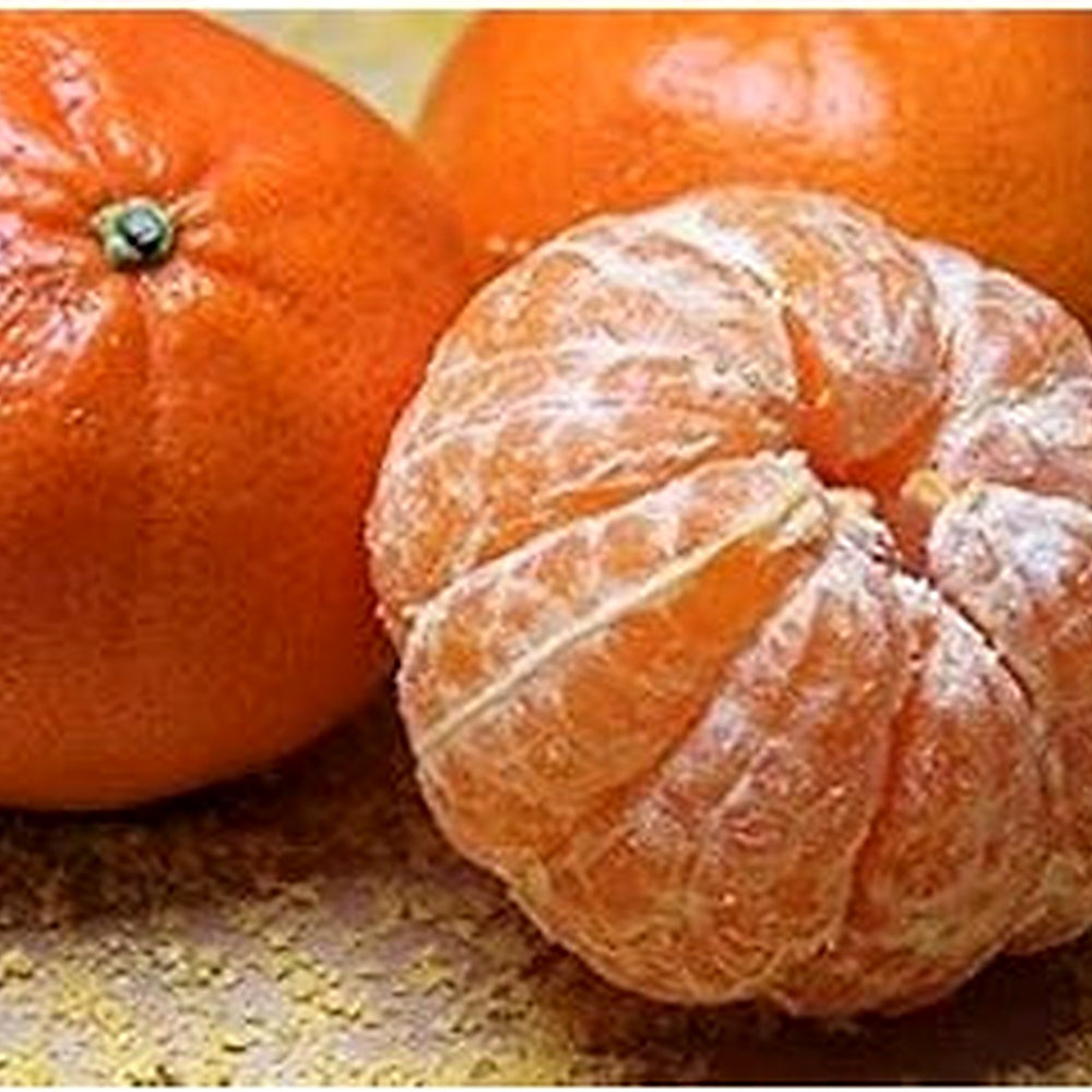 Dark Orange Fruit Seeds for Planting [neera-v5-e3c890cbae823a466a5c]