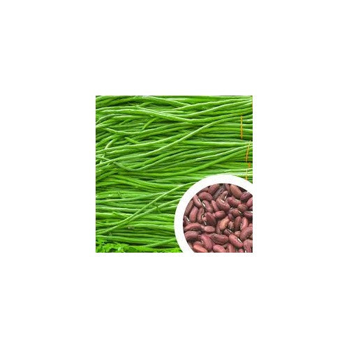 Yardlong Bean Seeds for Planting [neera-v5-e3d96b0dcb4dedcc8100]