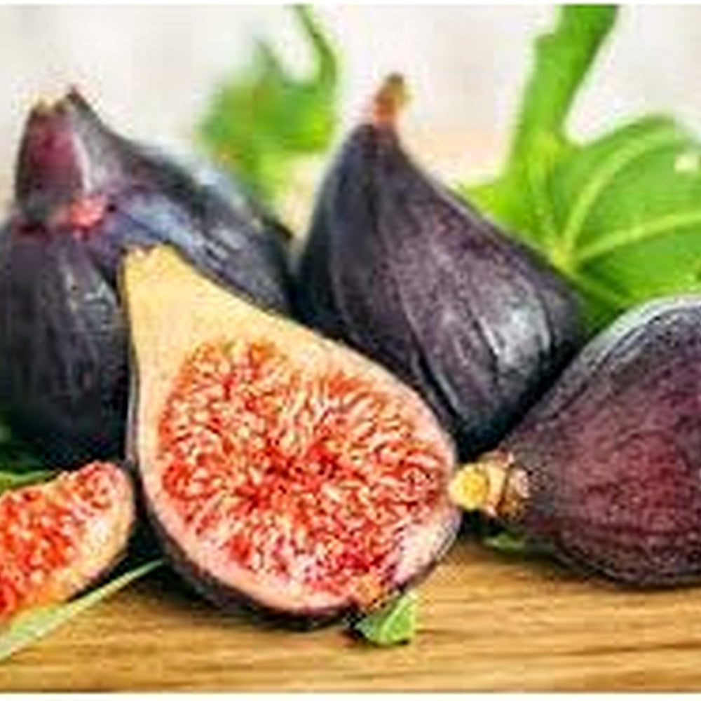 Burgundy Figs Fruit Seeds [neera-v5-e419db05776f1768cfe4]
