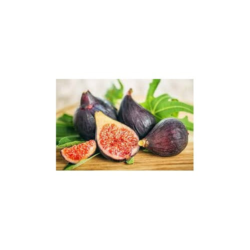 Burgundy Figs Fruit Seeds [neera-v5-e419db05776f1768cfe4]