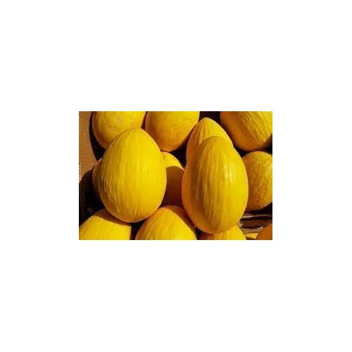 Honey Melon Seeds [neera-v5-e42e0efd442f4fd52c75]