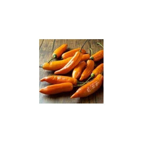 Amarillo Hot Pepper Vegetable Seeds for Planting [neera-v5-e4a24df47aff34443ee1]
