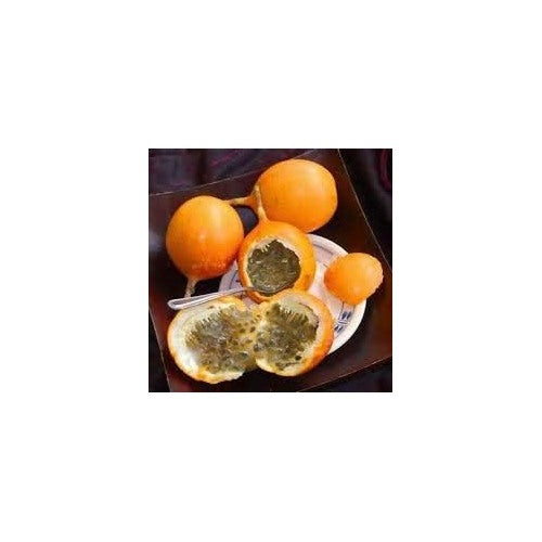 Passiflora edulis Passion Fruit Seeds for Planting [neera-v5-e4ede7112b052f6eb19e]