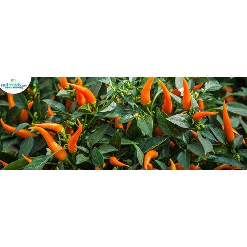 Cayenne Peppers Vegetable Seeds for Planting [neera-v5-e536d76b40875ba8d871]