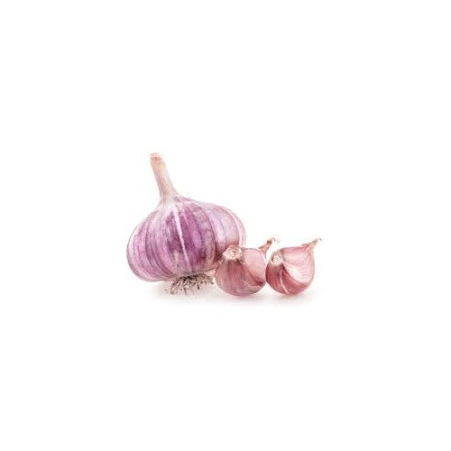 Purple Stripe Garlic Vegetable Seeds for Planting [neera-v5-e563c6cdcbe3f5b3041d]