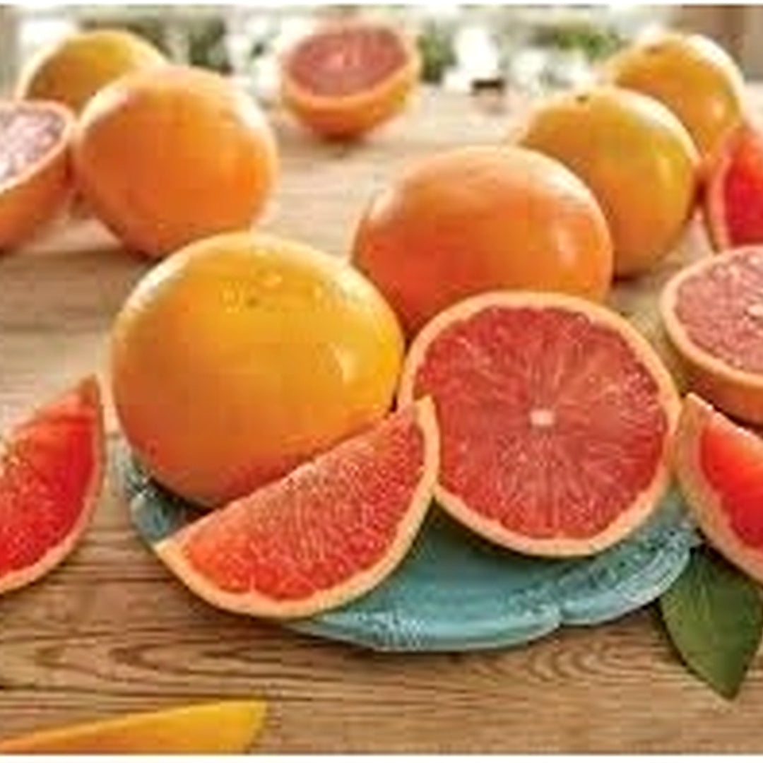 Sweet Grapefruit Fruit Seeds for Planting [neera-v5-e6aa143bf50c04758468]